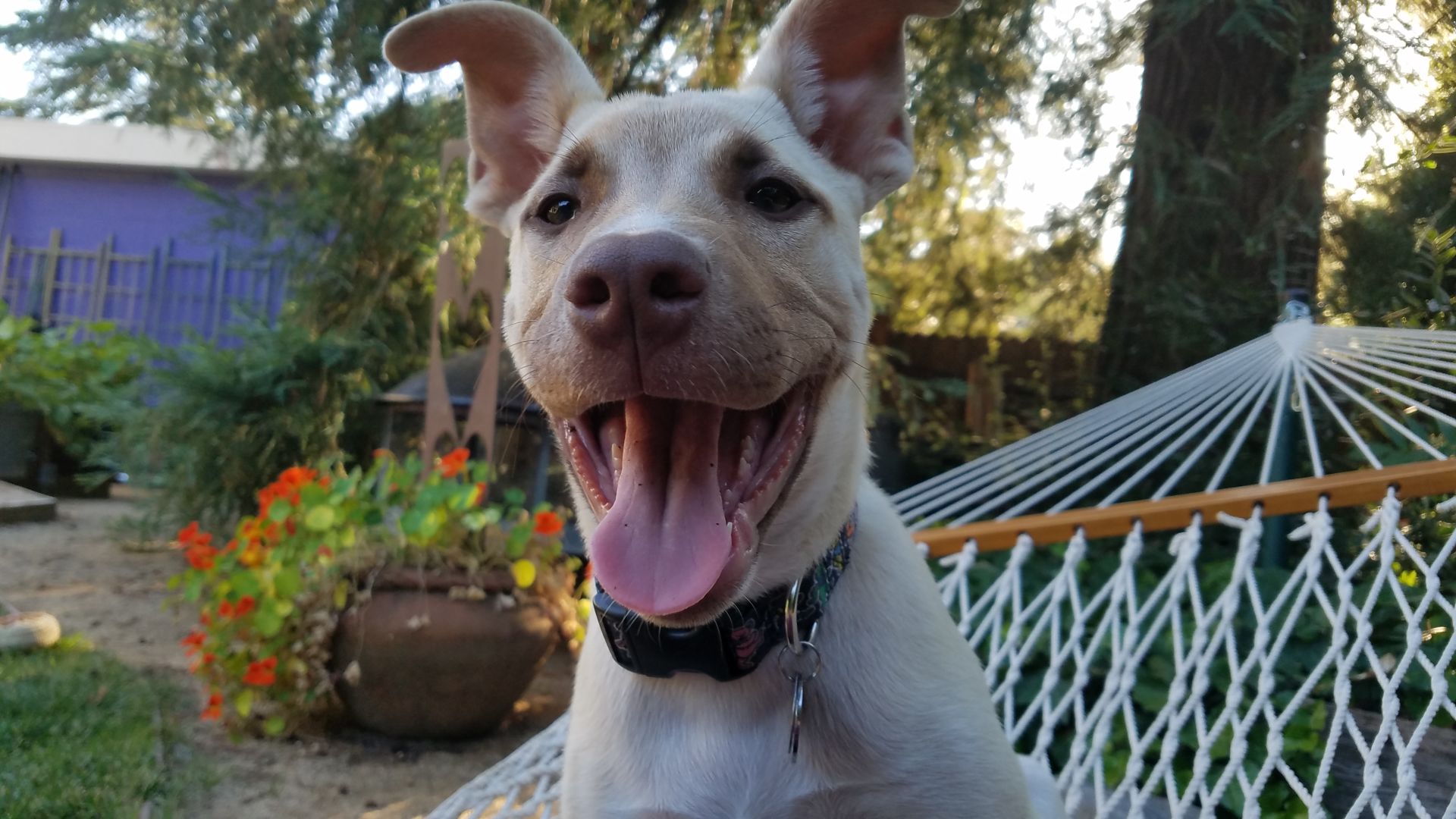Marley